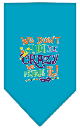 We Don't Hide the Crazy Screen Print Mardi Gras Bandana Turquoise Small